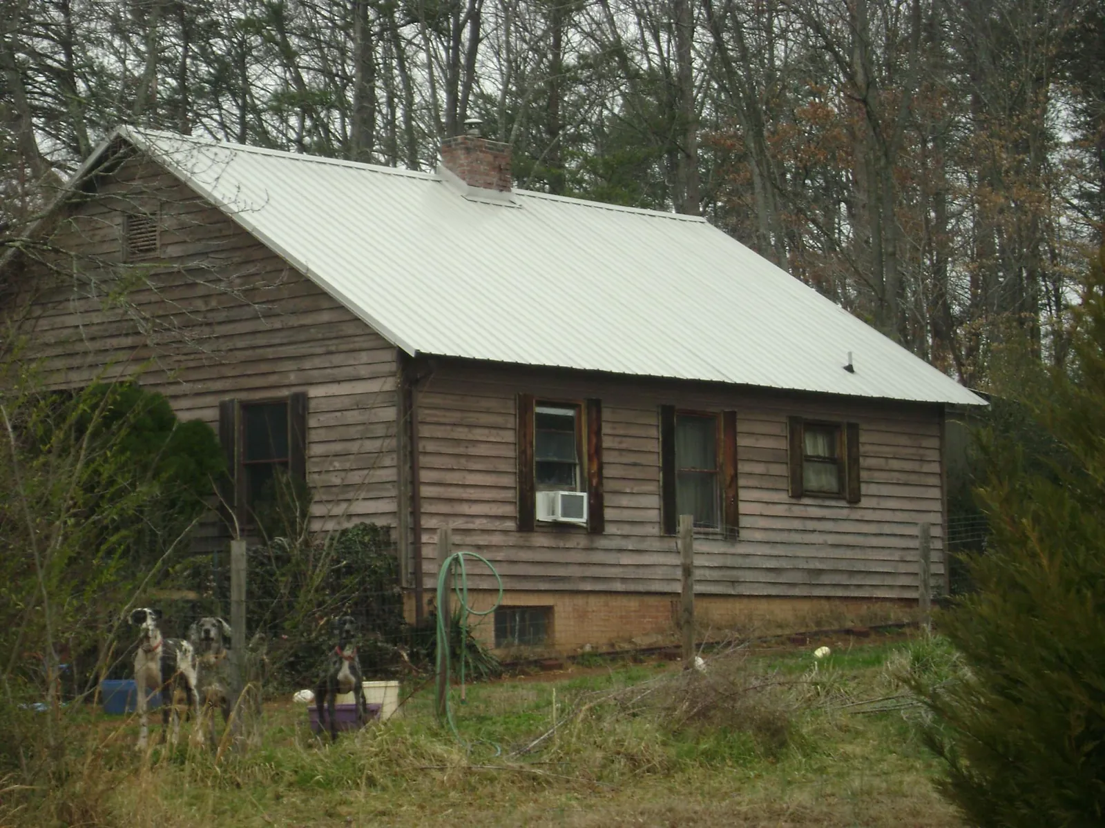 White metal roof on an old wood sided farmhouse, from a Asphalt Shingle Roof Repair job in Lakeside